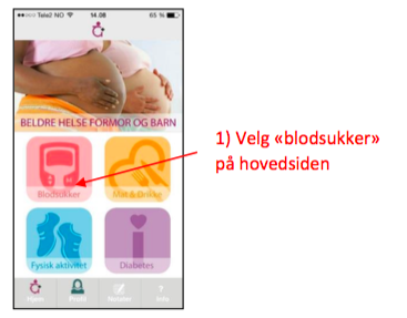 File:GravidBluetooth 1.png