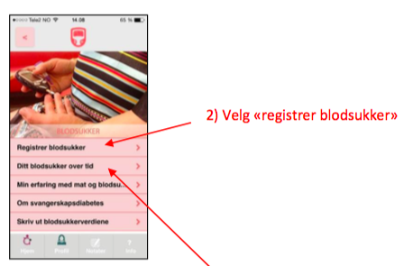 File:GravidBluetooth 2.png