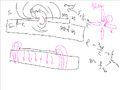 Thumbnail for version as of 07:27, 2 September 2026
