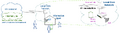 Thumbnail for version as of 07:22, 2 September 2026