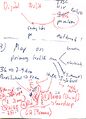 Thumbnail for version as of 07:22, 2 September 2026
