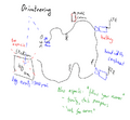 Thumbnail for version as of 07:30, 2 September 2026