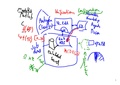 Thumbnail for version as of 07:23, 2 September 2026