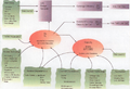 Thumbnail for version as of 07:25, 2 September 2026