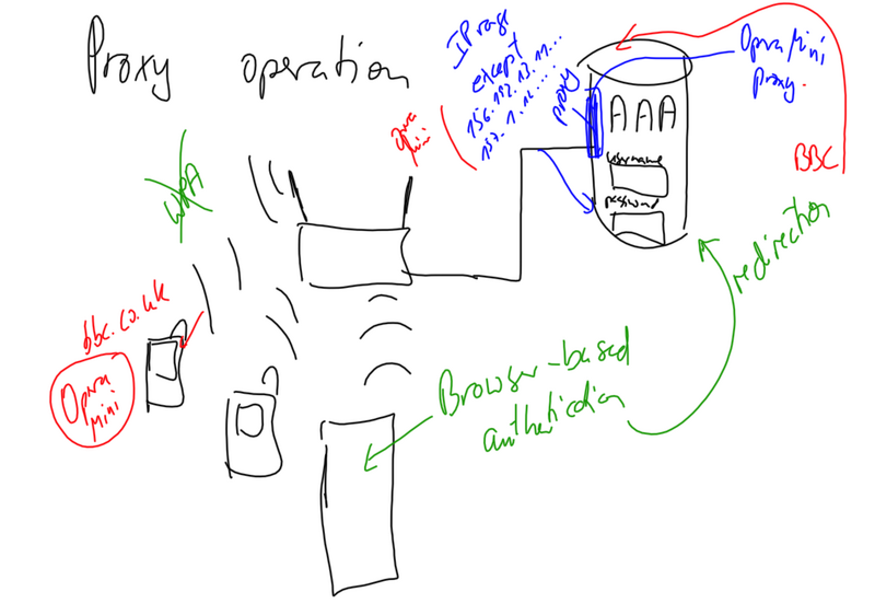 File:WebSiteAcess Mini proxy.png