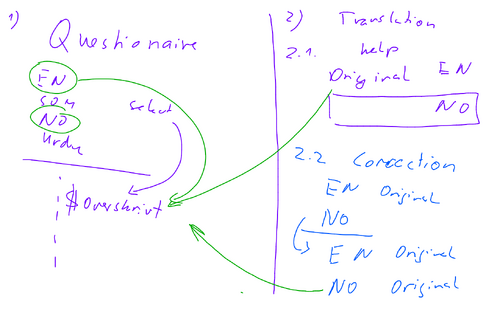 Modules in Trygt Svangerskap Development