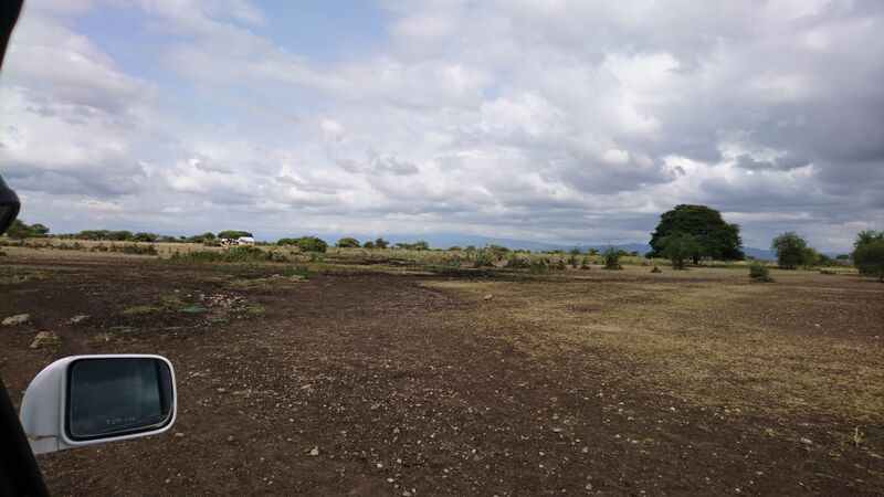 File:Esilalei FarAway.jpg
